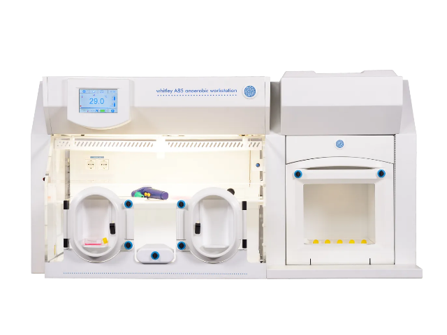 Анаэробная станция DON WHITLEY SCIENTIFIC A85