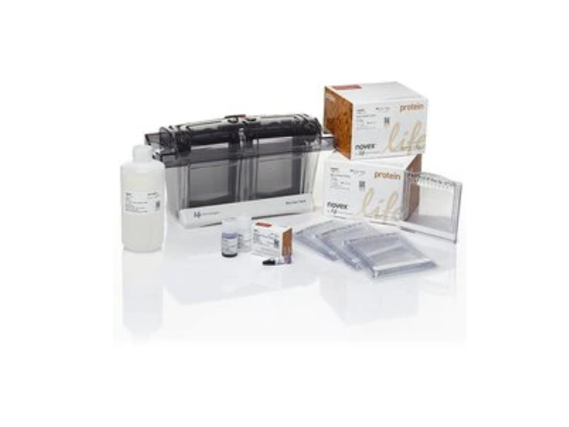 Электрофорезная вертикальная камера THERMO FISHER SCIENTIFIC SureLock Tandem Mini Gel Tank (Bolt Welcome Pack A)