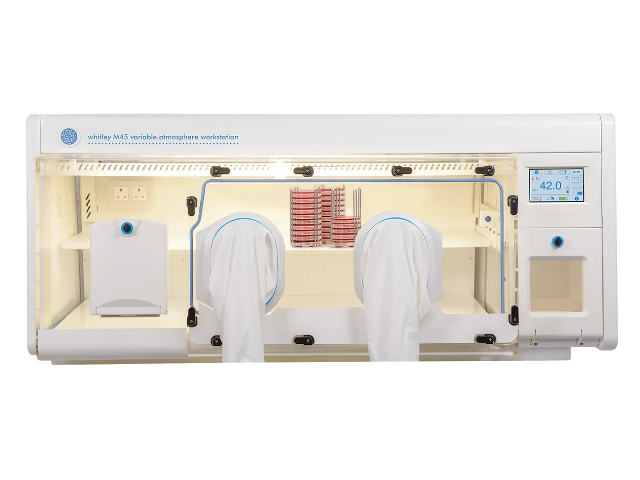 Микроаэрофильная станция DON WHITLEY SCIENTIFIC М45