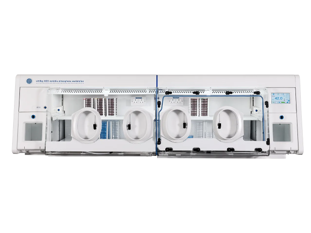 Микроаэрофильная станция DON WHITLEY SCIENTIFIC М55