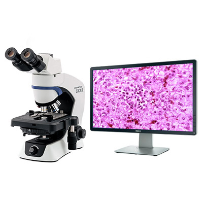 Прямой микроскоп OLYMPUS CX43