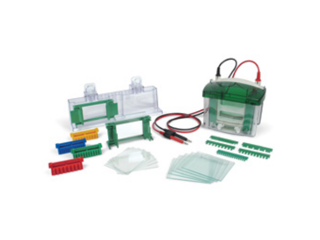 Электрофорезная вертикальная камера BIORAD Mini-Protean Tetra, 1,0 мм, 1-2 геля