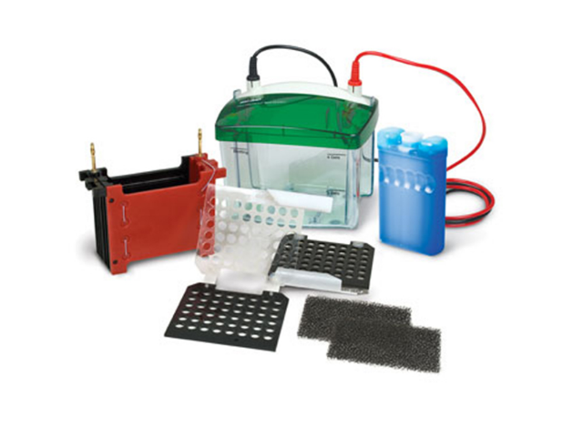 Камера для блоттинга BIORAD Mini Trans-Blot