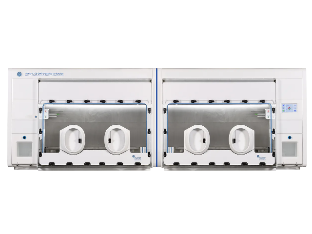 Анаэробная станция DON WHITLEY SCIENTIFIC A155 GMP