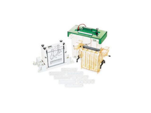 Электрофорезная вертикальная камера BIORAD Protean II XL, Cell 1,5 мм