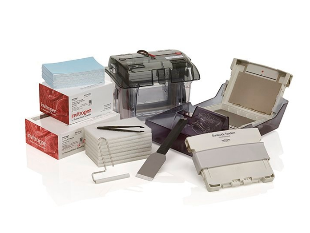 Система мокрого блоттинга THERMO FISHER SCIENTIFIC SureLock