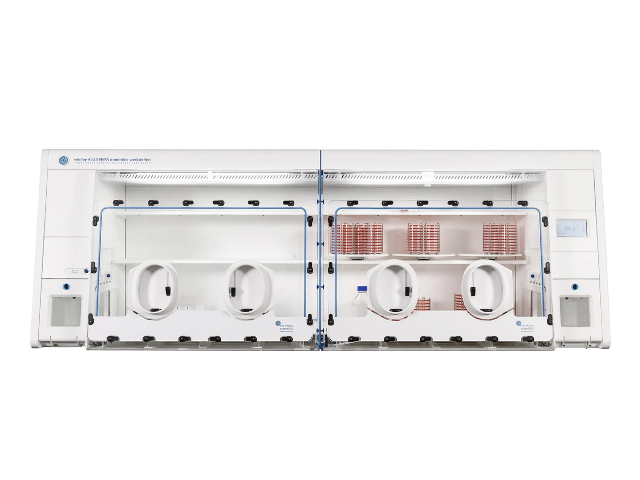 Анаэробная станция DON WHITLEY SCIENTIFIC A155 HEPA