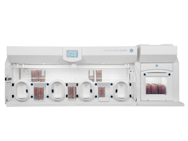 Анаэробная станция DON WHITLEY SCIENTIFIC A95
