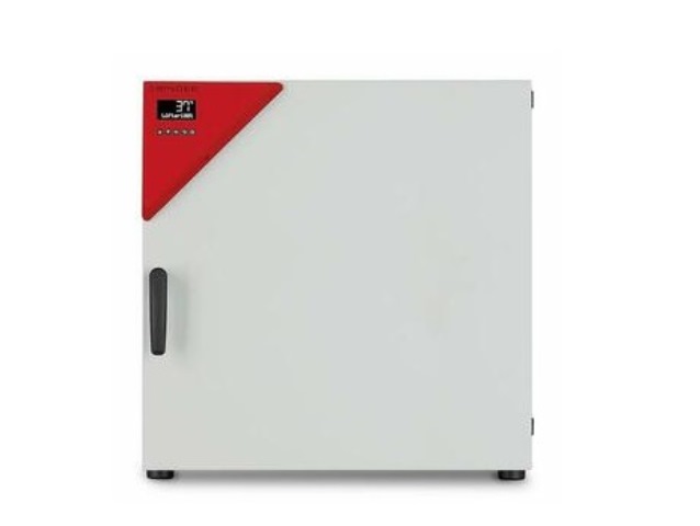 Термостат BINDER BF 115 (BF115UL-120V)