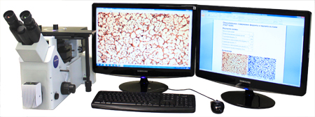 Система анализа изображений SIAMS 700