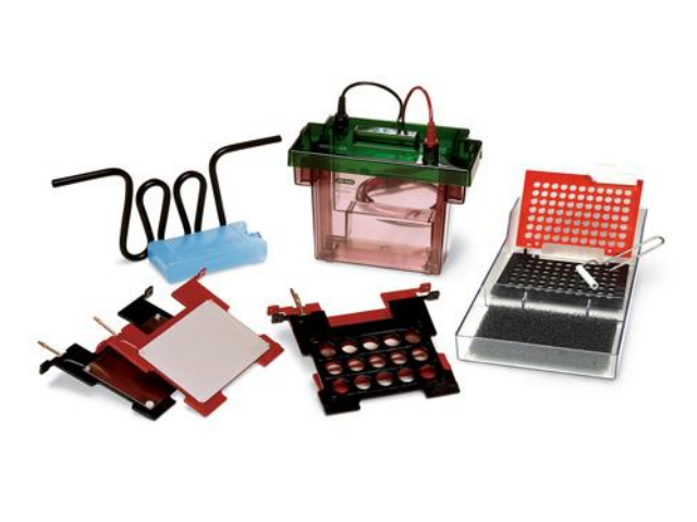 Система мокрого блоттинга BIORAD Criterion Blotter с электродами в виде проволоки