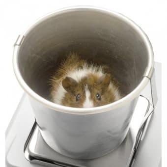 Чаша для взвешивания животных A&D GX-12