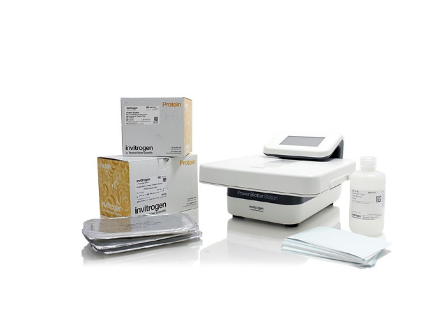 Система полусухого блоттинга THERMO FISHER SCIENTIFIC Power Blotter XL