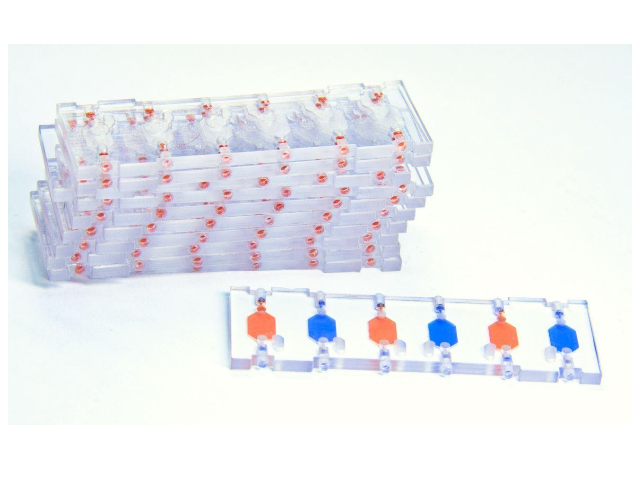 Герметизированный чип TRDC шесть независимых реакционных камер