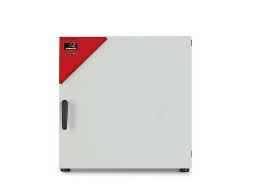 Шкаф сушильный BINDER FD 115 (FD115UL-120V)