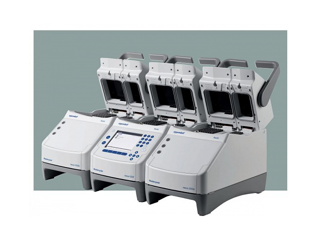 ДНК-амплификатор EPPENDORF Mastercycler nexus GSX1e