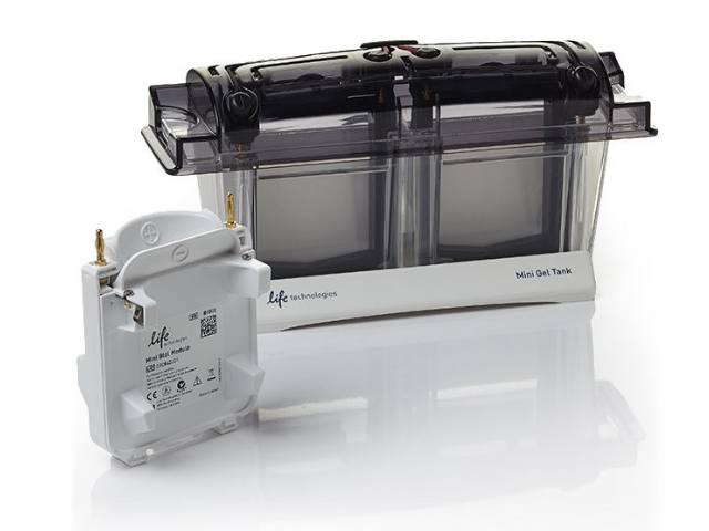 Система мокрого блоттинга THERMO FISHER SCIENTIFIC Mini Gel