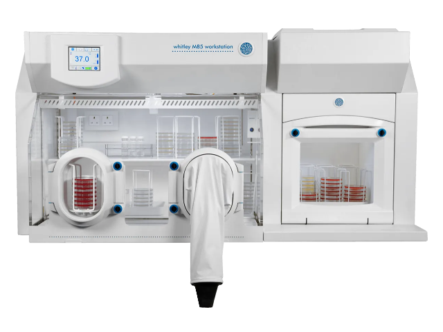 Микроаэрофильная станция DON WHITLEY SCIENTIFIC М85