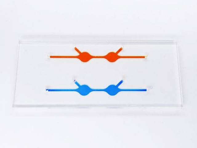 Чип с каналами TRDC прямой канал со встроенными камерами