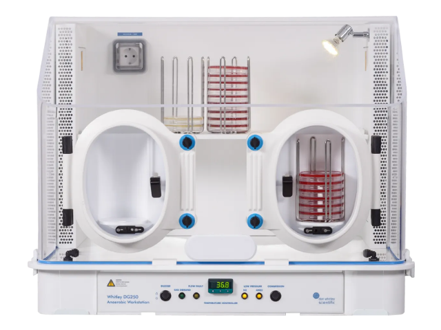 Микроаэрофильная станция DON WHITLEY SCIENTIFIC DG250