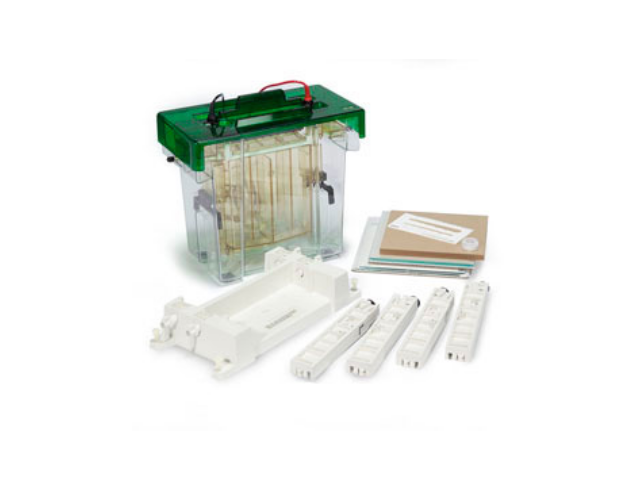 Электрофорезная вертикальная камера BIORAD Protean II xi Cell, 16х20 cм, 1,0 мм