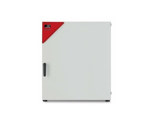 Шкаф сушильный BINDER FED 240 (FED240-230V-RU)
