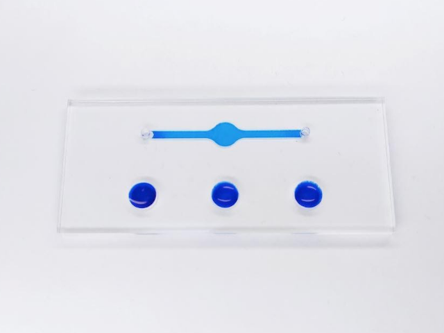 Чип с каналами TRDC прямой канал с микролунками