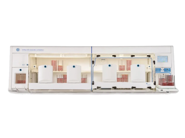 Анаэробная станция DON WHITLEY SCIENTIFIC A55