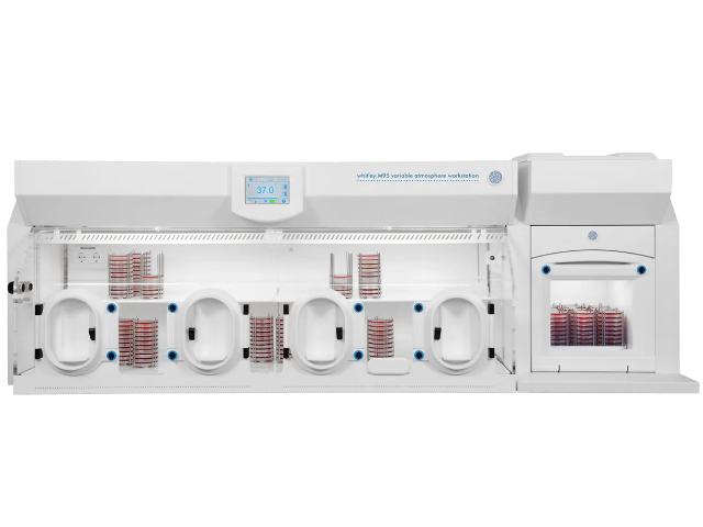 Микроаэрофильная станция DON WHITLEY SCIENTIFIC М95