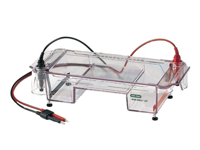 Электрофорезная горизонтальная камера BIORAD Sub Cell GT