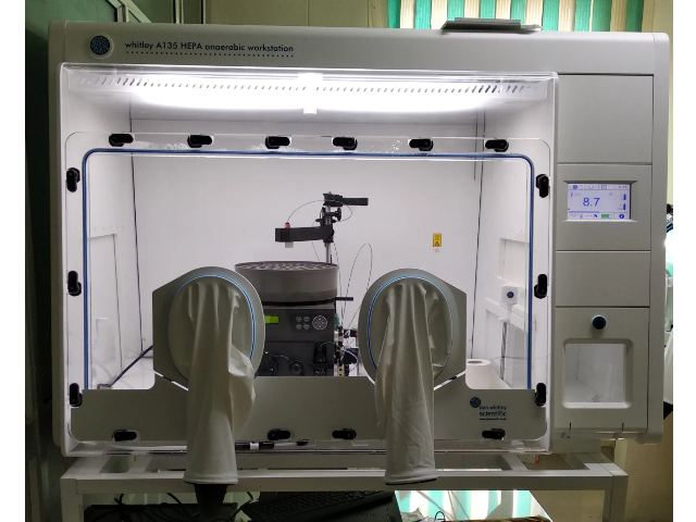 Анаэробная станция DON WHITLEY SCIENTIFIC A135 HEPA