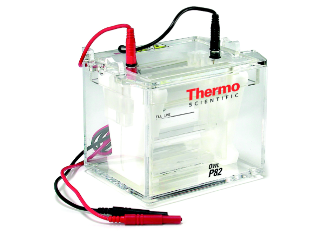 Электрофорезная вертикальная камера THERMO FISHER SCIENTIFIC Owl P82 Dual-Gel