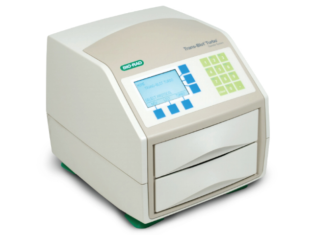 Система быстрого блоттинга BIORAD Trans-Blot Turbo
