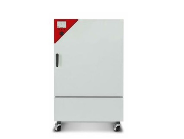 Инкубатор BINDER KB 240 (KB240-230V)