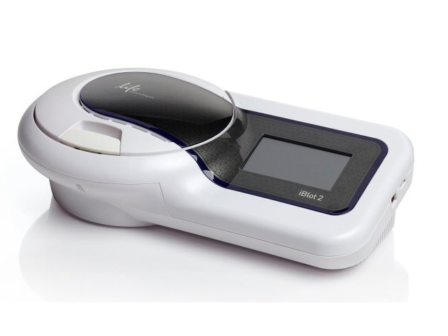 Система сухого блоттинга THERMO FISHER SCIENTIFIC iBlot 2 Gel Transfer Device