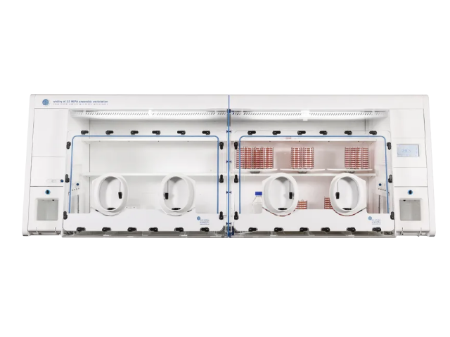 Микроаэрофильная станция DON WHITLEY SCIENTIFIC М155 HEPA