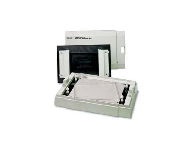Система полусухого блоттинга BIORAD Trans-Blot SD Semy-Dry Transfer Cell