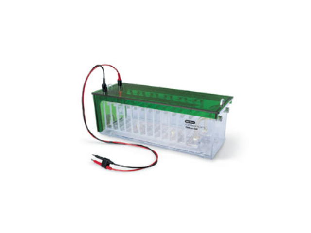 Электрофорезная вертикальная камера BIORAD Criterion Dodeca Cell