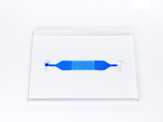 Чип с микро-пилларами TRDC