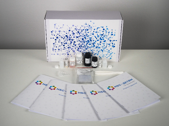 Набор ТСХ МБС-ДЕТЯМ Активность ферментов (линейка Хроматография)