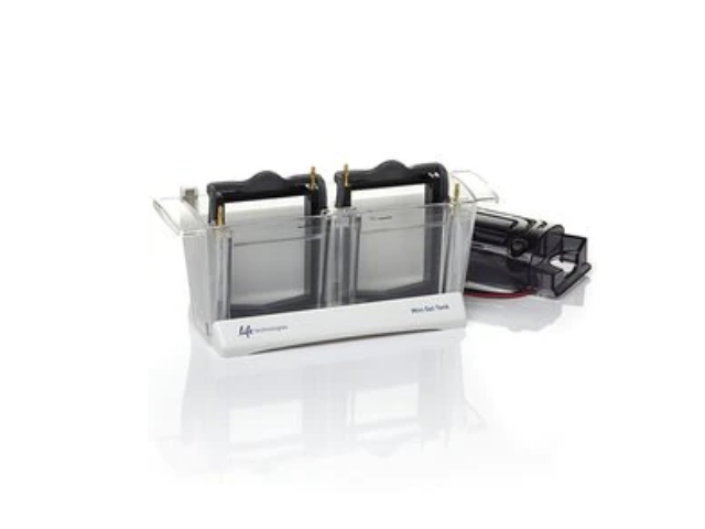 Электрофорезная вертикальная камера THERMO FISHER SCIENTIFIC SureLock Tandem Mini Gel Tank