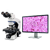 Прямой микроскоп OLYMPUS CX43