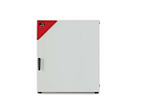 Шкаф сушильный BINDER ED 240 (ED240-230V-RU)